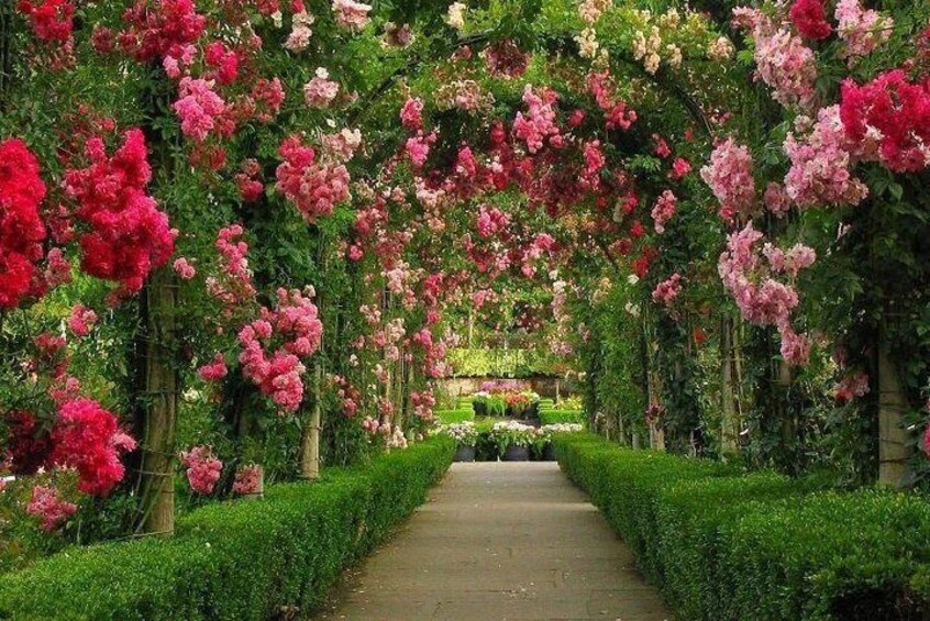 Rose Garden, Parnell