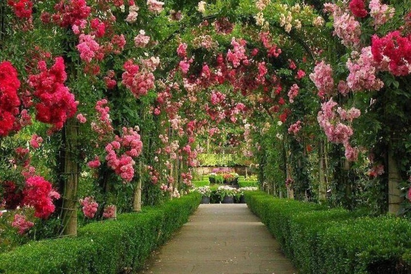 Rose Garden, Parnell