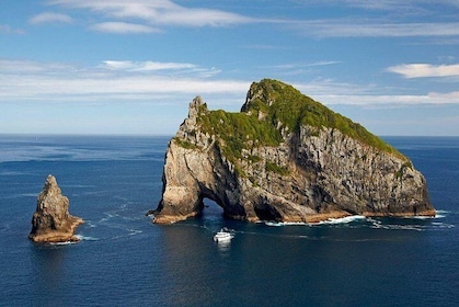 Private Tour: Bay of Islands Day Trip from Auckland