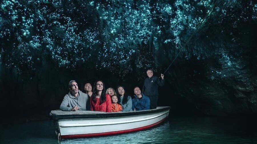 Waitomo Glowworm Caves