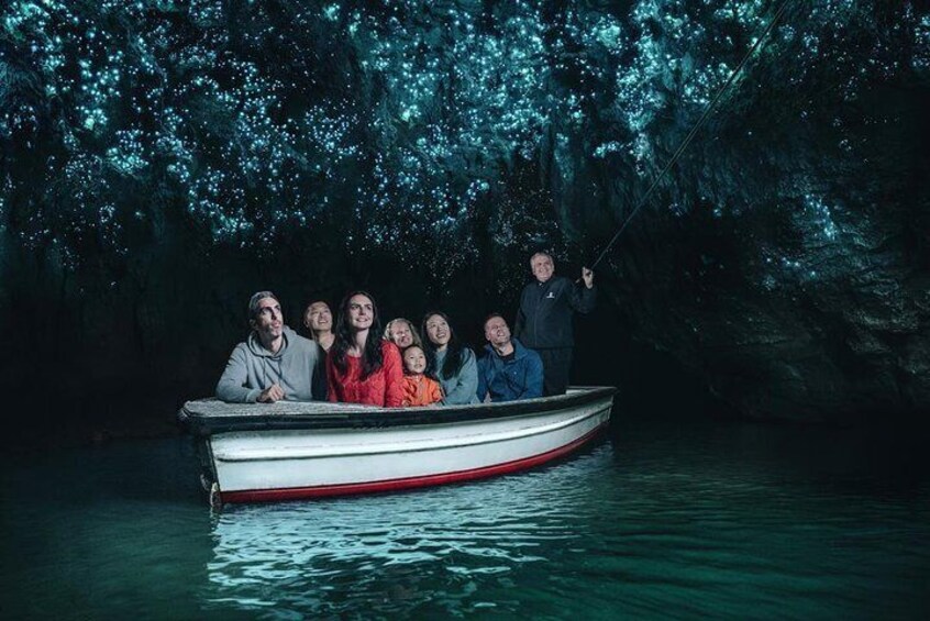 Waitomo Glowworm Caves