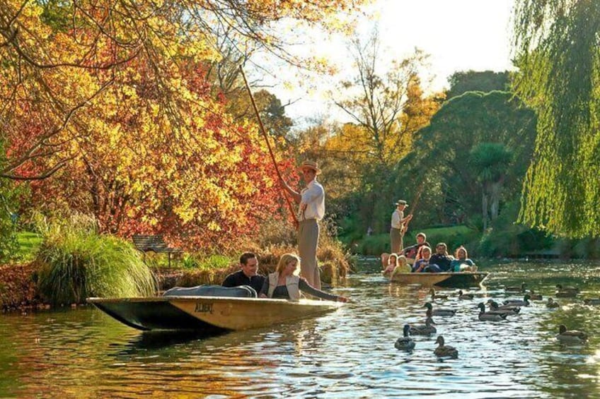 Punting on the Avon