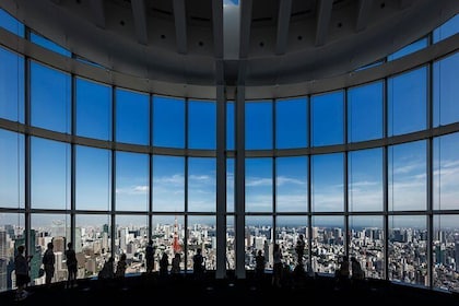 Roppongi Hills Observation admission ticket