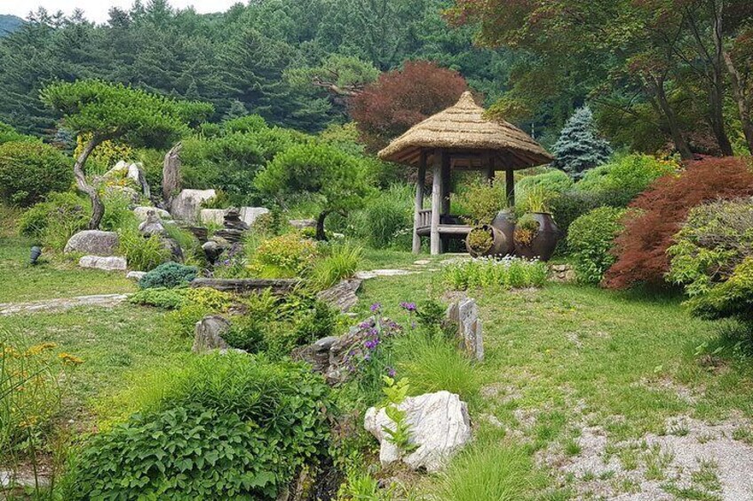 Private Group to Nami Island, the Garden of Morning Calm
