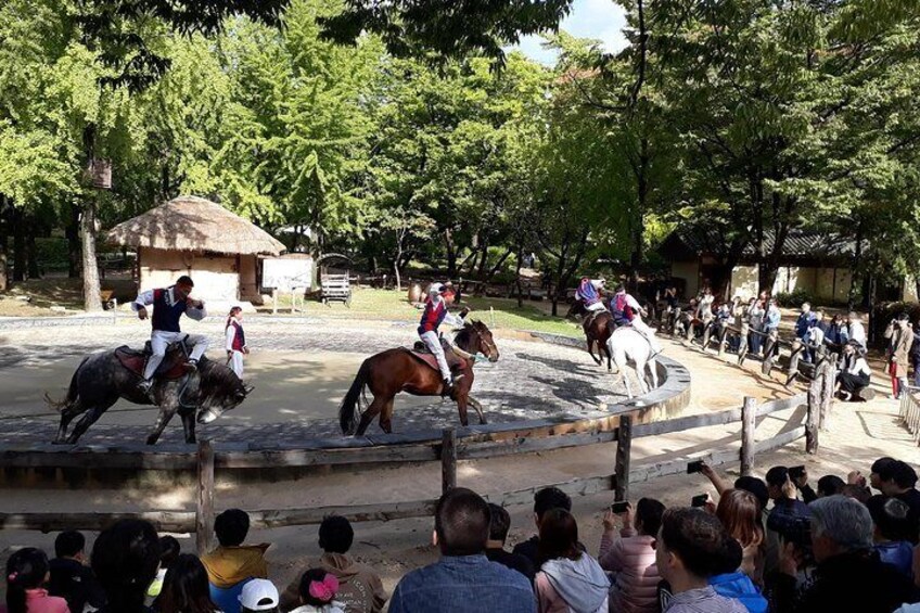 Private day trip to Korean Folk Village & Dae Jang Geum Park