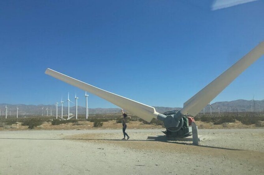 Show item 2 of 7. Palm Springs Windmill Tours self-driving tours interactive, safe & fun.