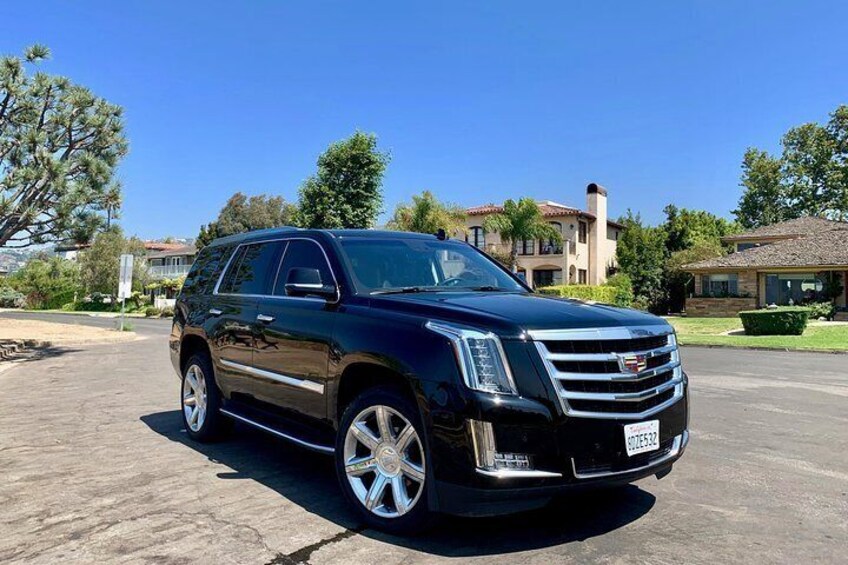 Private Tour of Los Angeles in a Luxury SUV/Minivan. Experienced Tour Guides.