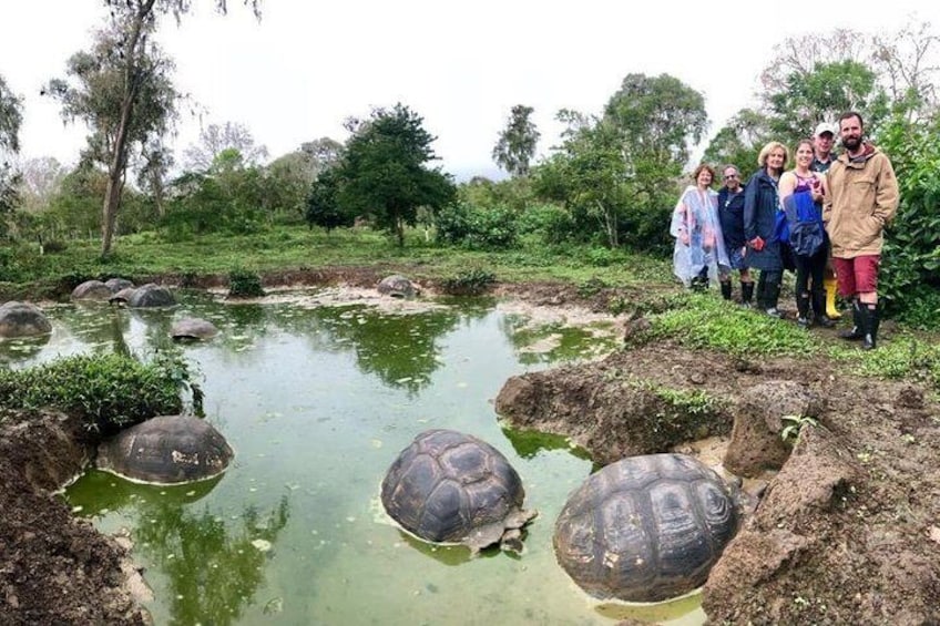 Unique Tortoise encounters 