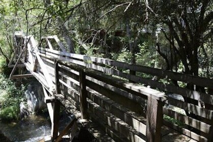 Calaveras County Scavenger Hunt: UnFROGettable Angels Camp
