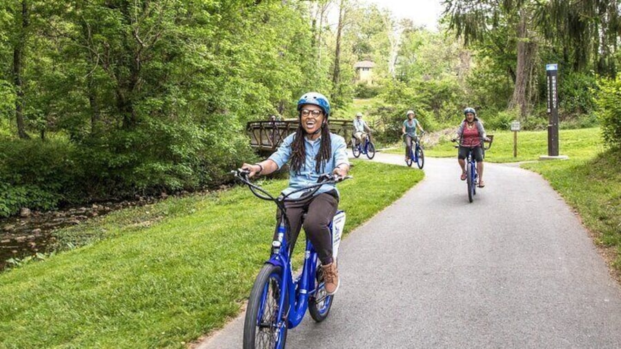 Asheville Historic Downtown Guided Electric Bike Tour with Scenic Views