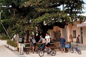 Cycle through time - Okinawa culture and history tour