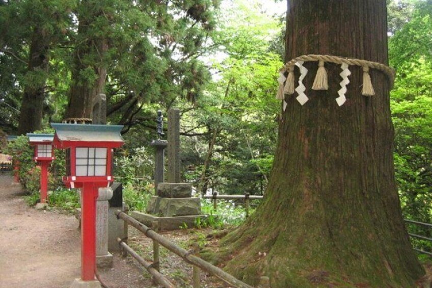 Mt. Takao