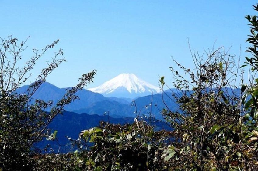 Zen food and hiking at Mt. Takao