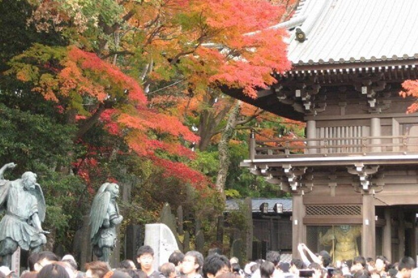 Autumn