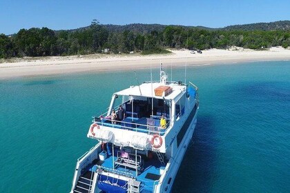 Cruise in Moreton Bay Marine Park and Moreton Island