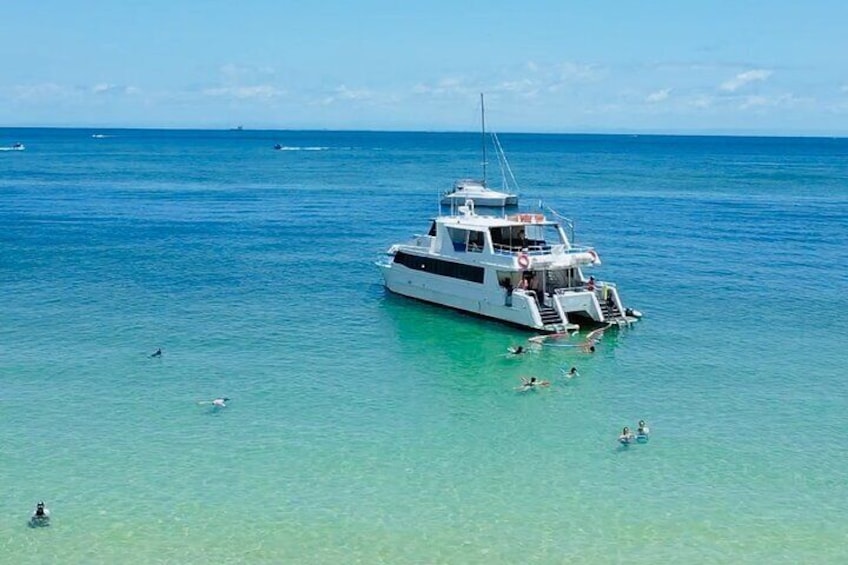 Moreton Island Eco Marine Safari Cruise and Snorkel
