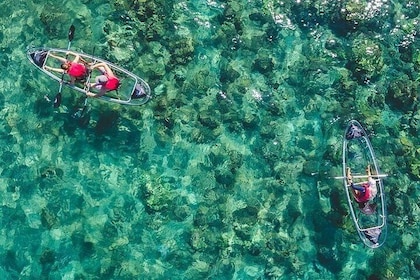 Clear Kayak and Snorkel Tour from Olowalu Beach (Southwest Maui)