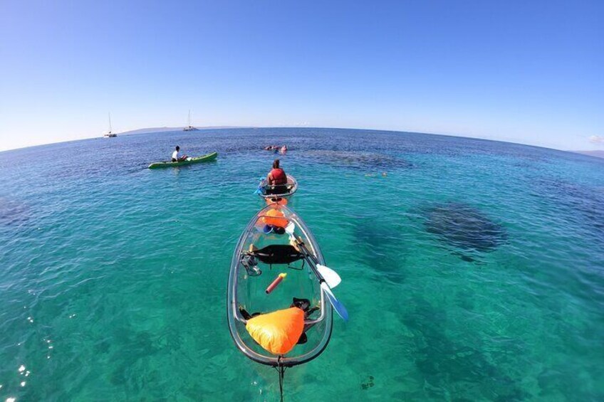 Clear Kayak and Snorkel Adventure from Kihei