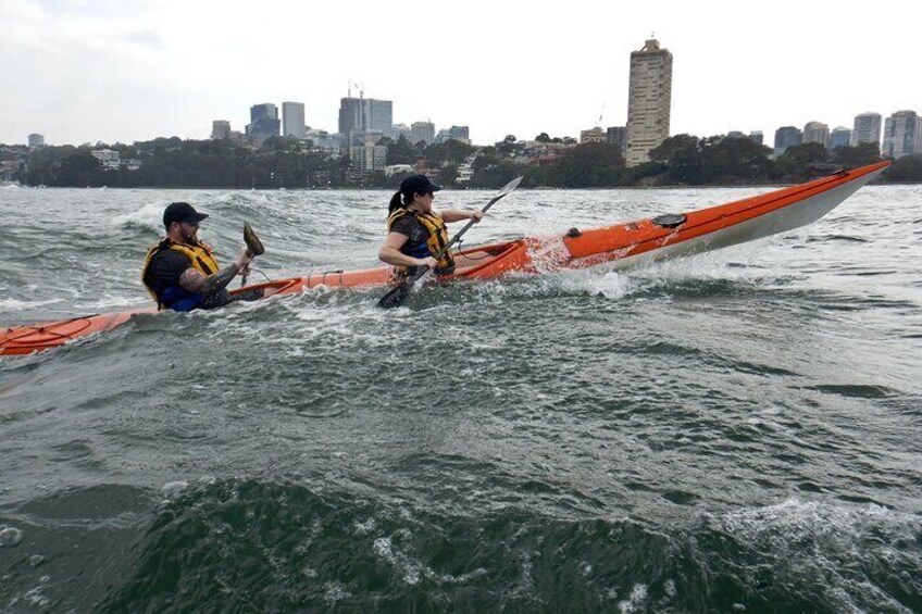 Kayak to Goat Island in Sydney Harbour with Local