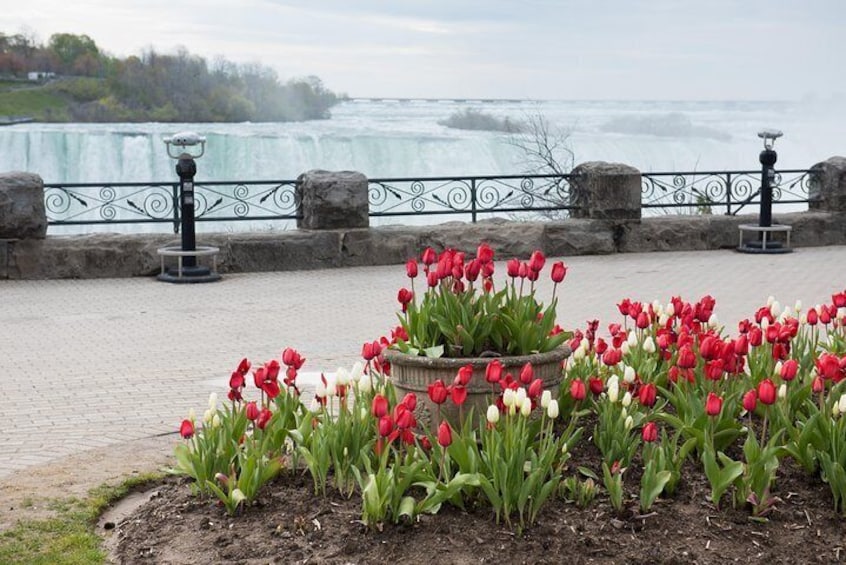 Full-Day Niagara Falls Tour from Toronto