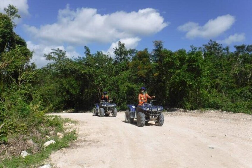 Jungle trails ATV