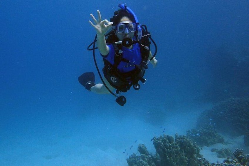 Show item 5 of 9. Guam's Best Beach Diving! - Beginner and Advanced Dives