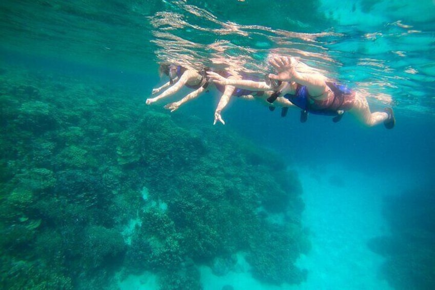 Guam's Top Rated Guided Snorkeling Tour! 