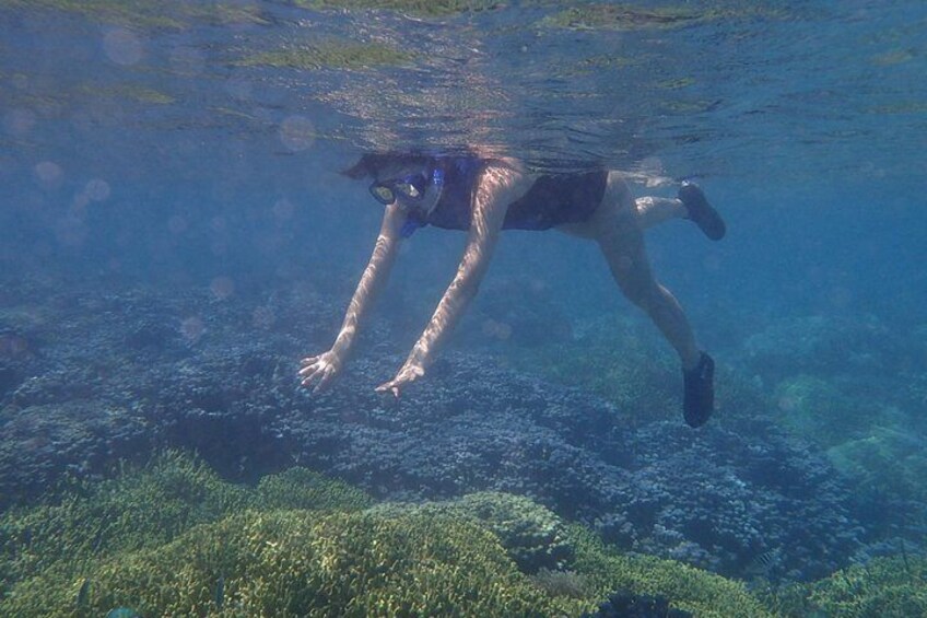 Beautiful reefs!