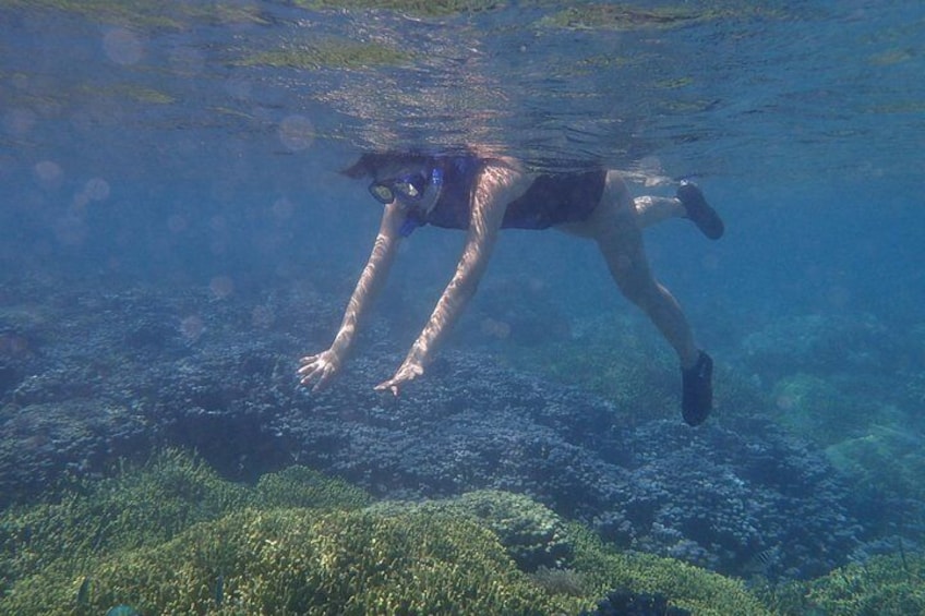 Beautiful reefs!