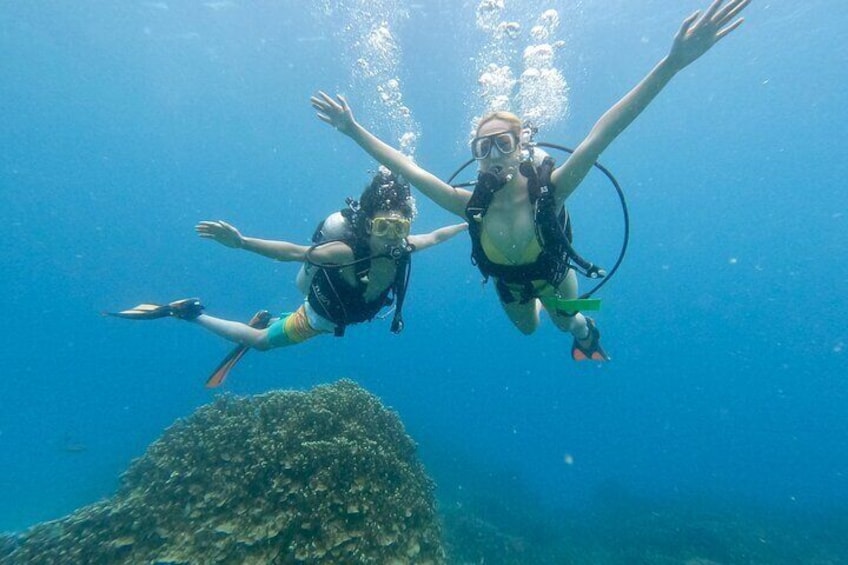 Experience Scuba Diving - Explore a whole new world! 