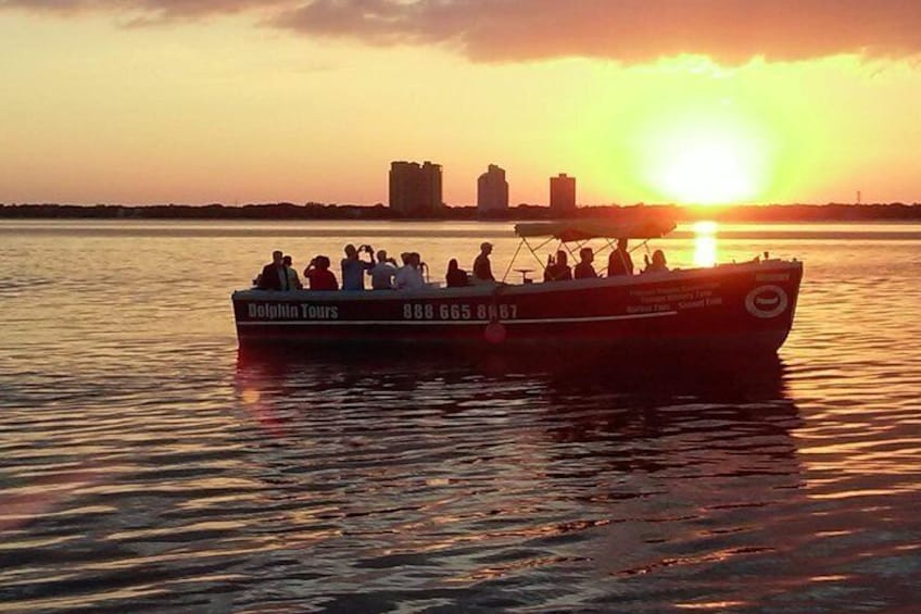 1.5-hour Dolphin Sightseeing Cruise from Tampa