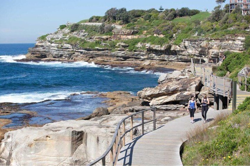 Bondi to Cogee coastal walk