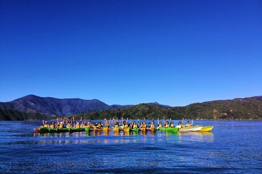 Full day Guided Sea Kayak Tour from Picton