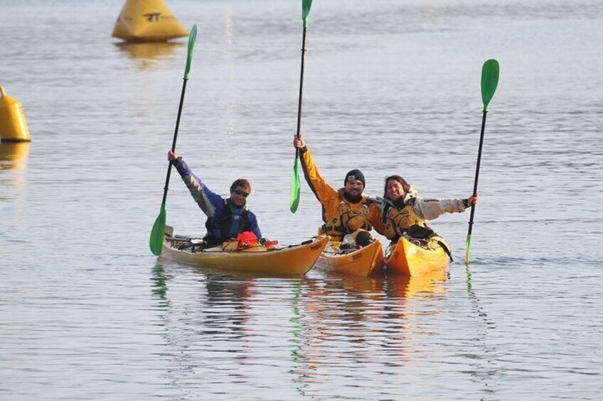 Full day Guided Sea Kayak Tour from Picton