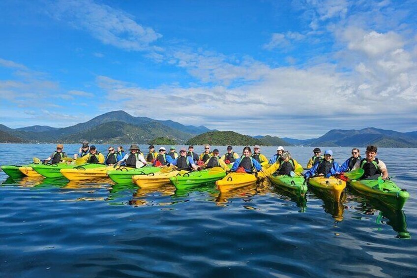 Full day Guided Sea Kayak Tour from Picton