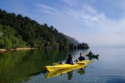 Full day Guided Sea Kayak Tour from Picton