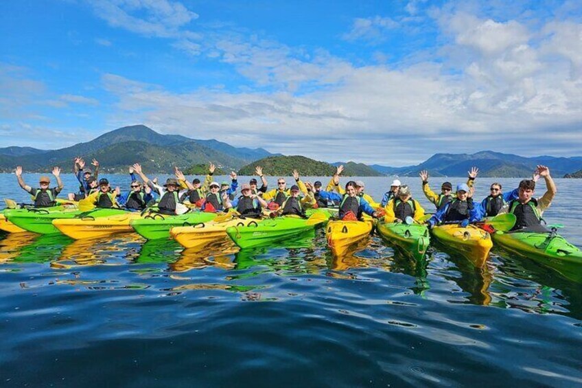 Half day Sea Kayak Guided Tour from Picton