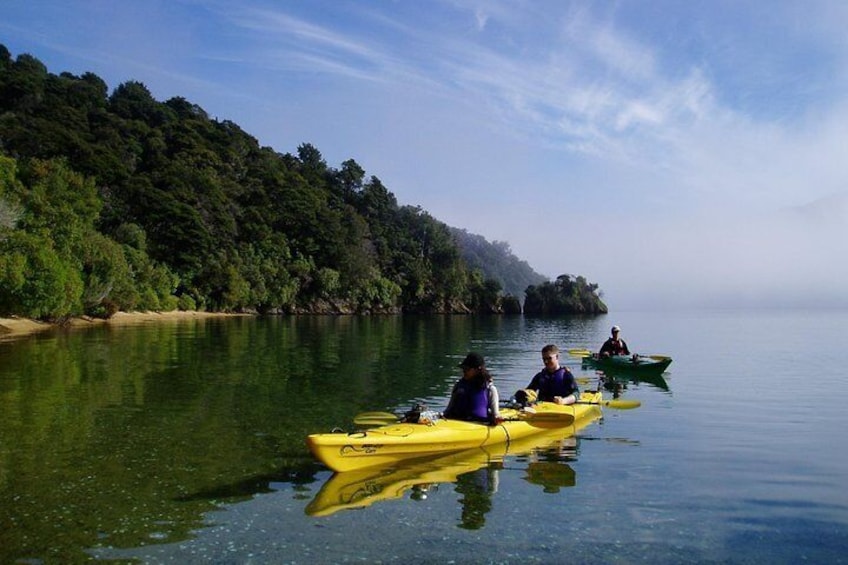 Half day Sea Kayak Guided Tour from Picton