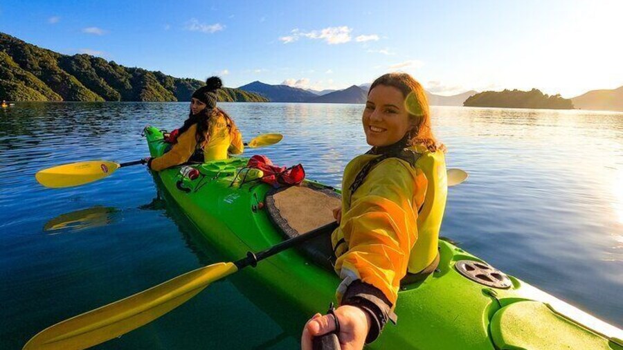 Half day Sea Kayak Guided Tour from Picton