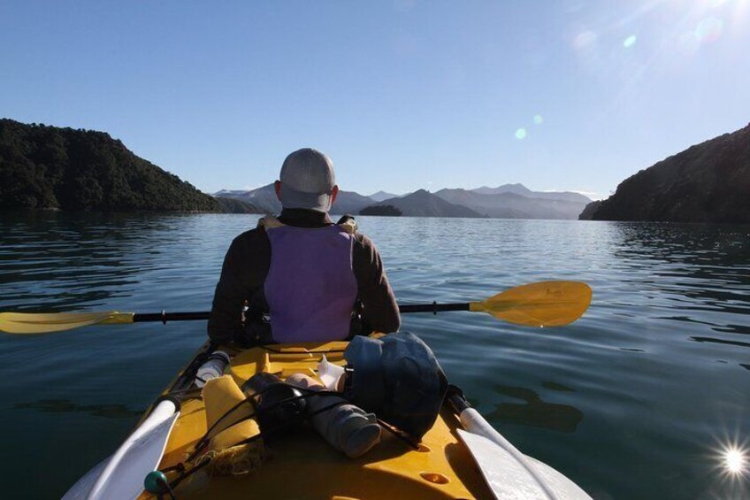 Queen Charlotte Sound Kayaking