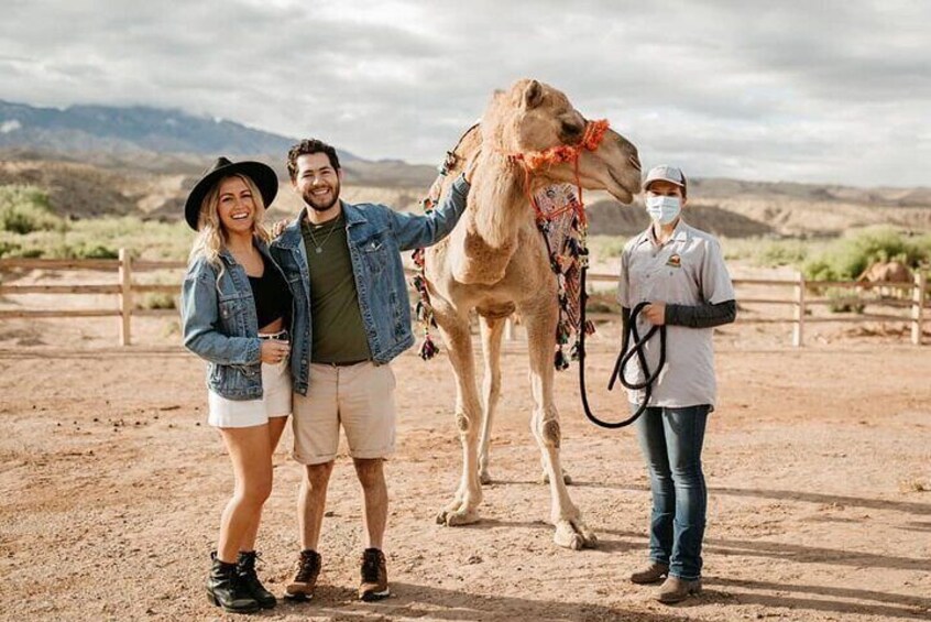 Camel Safari - Safari Tram Ride and Zoo Tour