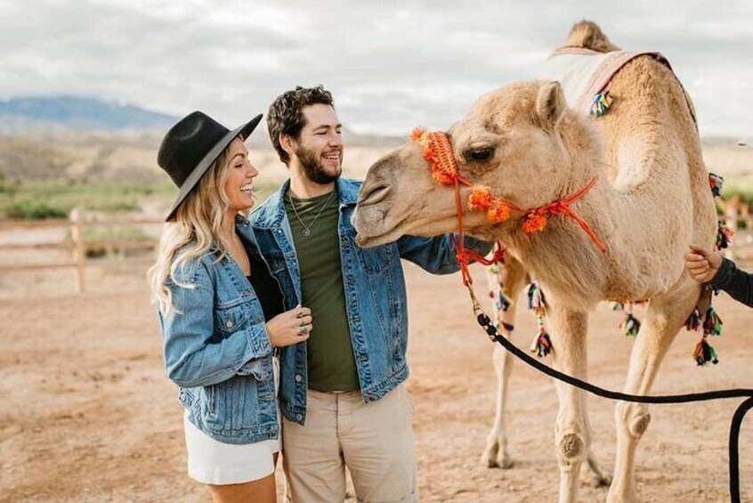 Camel Safari - Safari Tram Ride and Zoo Tour