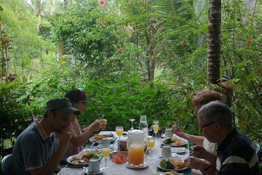 Spectacular Lunch at The Daintree Tea House