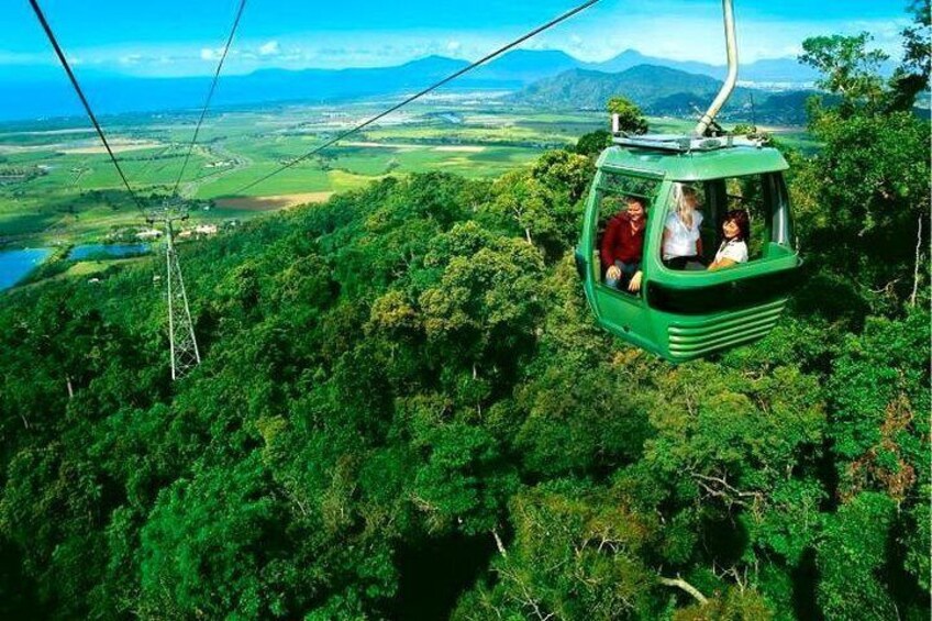 Skyrail Rainforest Cableway