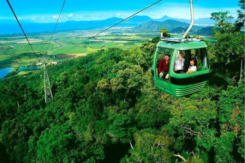 Skyrail Gondola