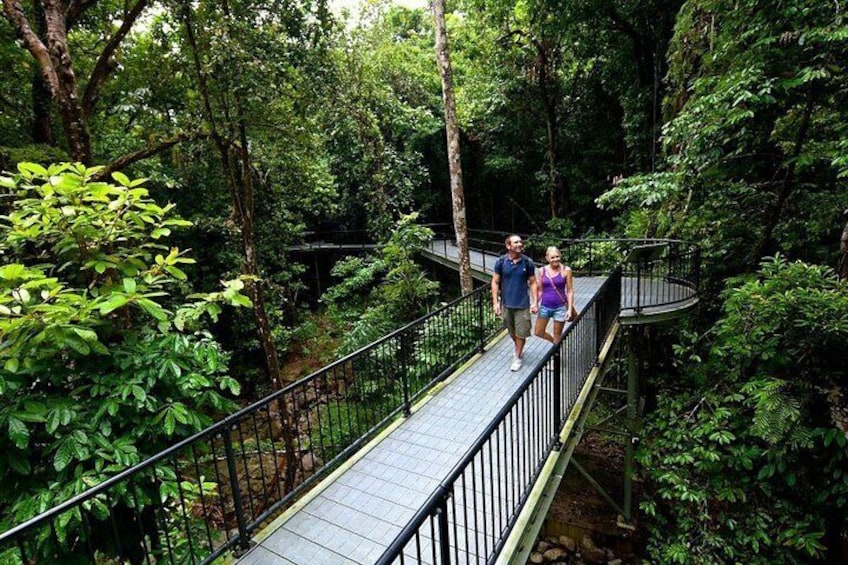 Mossman Gorge Walkway