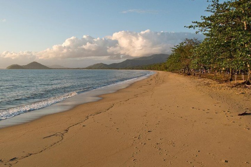 Palm Cove Beach