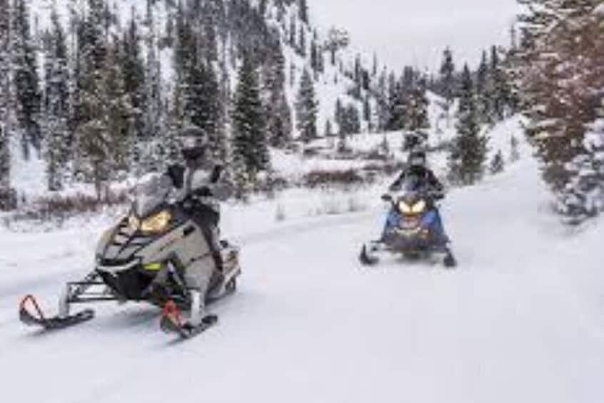 snowmobiling activity rides of 1 hour 30