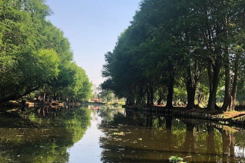 Canales de Xochimilco