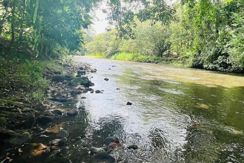 Burio River